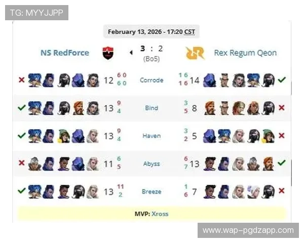 PG官网397app下载安装后常见设置与优化建议，提升游戏体验的实用技巧